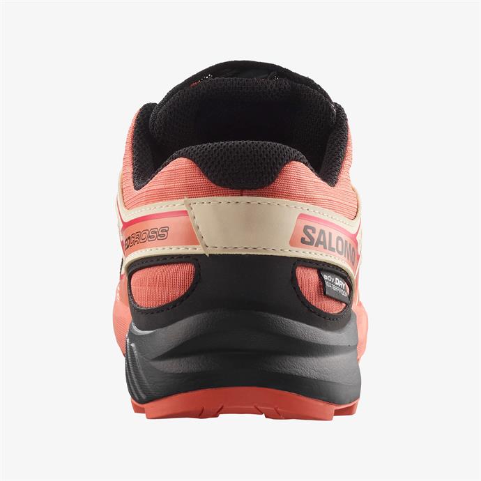 csUrun.UrunSecenek[0].StokKodu_4