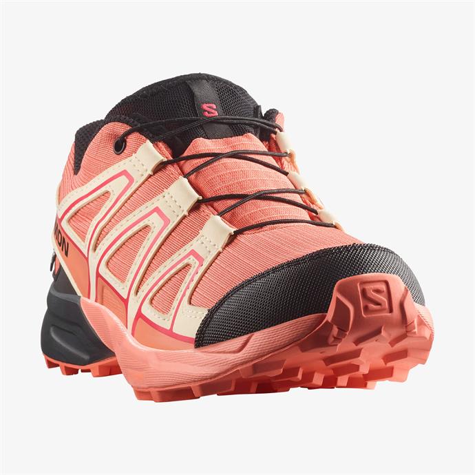 csUrun.UrunSecenek[0].StokKodu_3