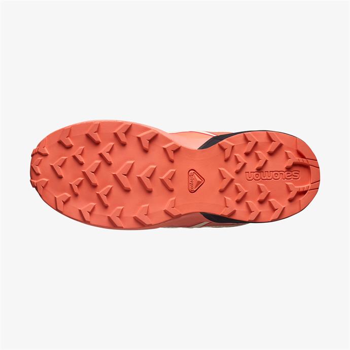 csUrun.UrunSecenek[0].StokKodu_5