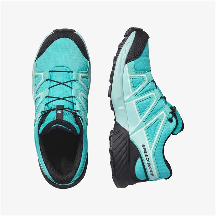 csUrun.UrunSecenek[0].StokKodu_1