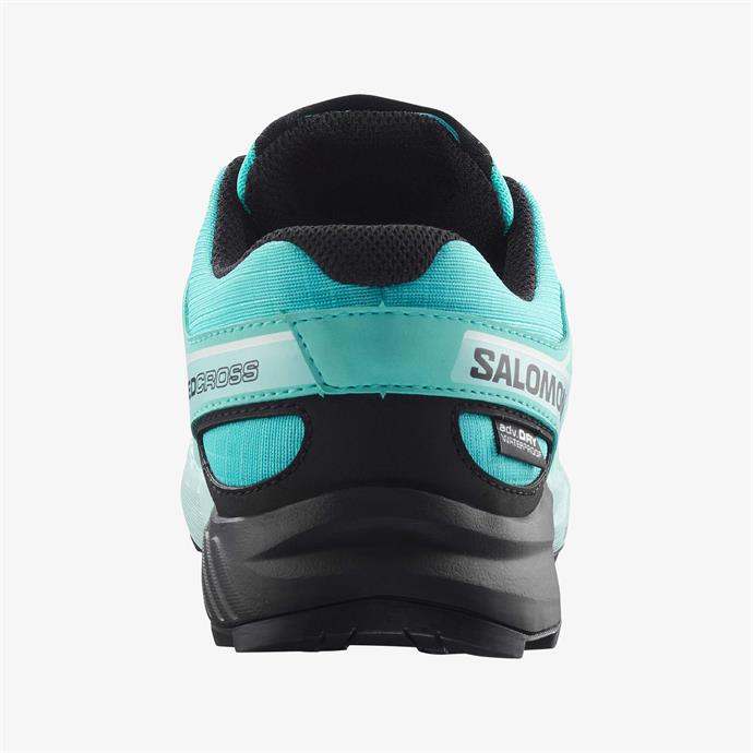 csUrun.UrunSecenek[0].StokKodu_4