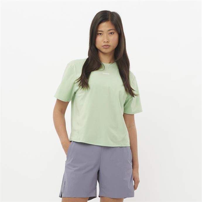 csUrun.UrunSecenek[0].StokKodu_1