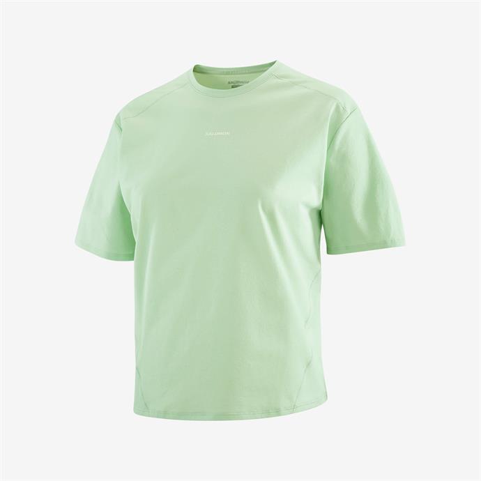 csUrun.UrunSecenek[0].StokKodu_0