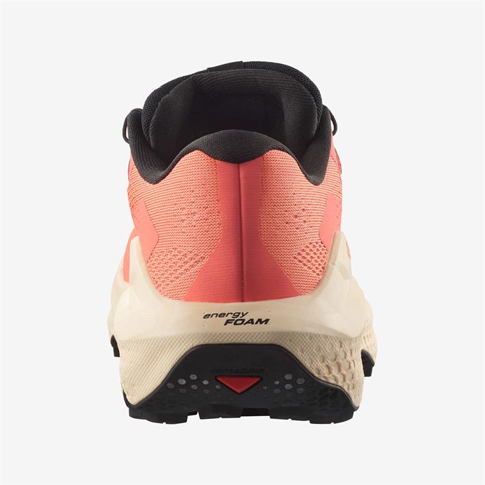 csUrun.UrunSecenek[0].StokKodu_4